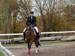 IMG_0379-136_web